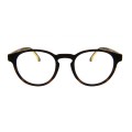 CARRERA-8066 CS-0AM-SP-50-21-145
